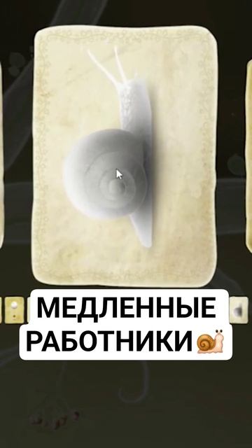 МЕДЛЕННЫЕ РАБОТНИКИ  #обительнастроения #botanicula