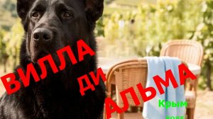 Крым. Винодельня Вилла ди Альма