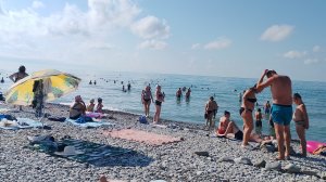Дорога от станицы Должанская до Архипо-Осиповки 16.08.2026. Информация по бензину и заправкам