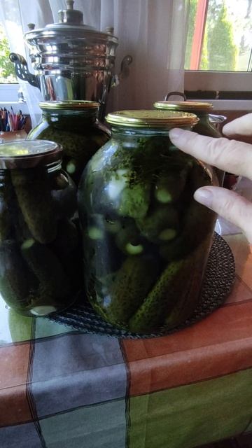 Финал приготовления огурцов бочковых.