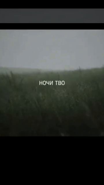животные...