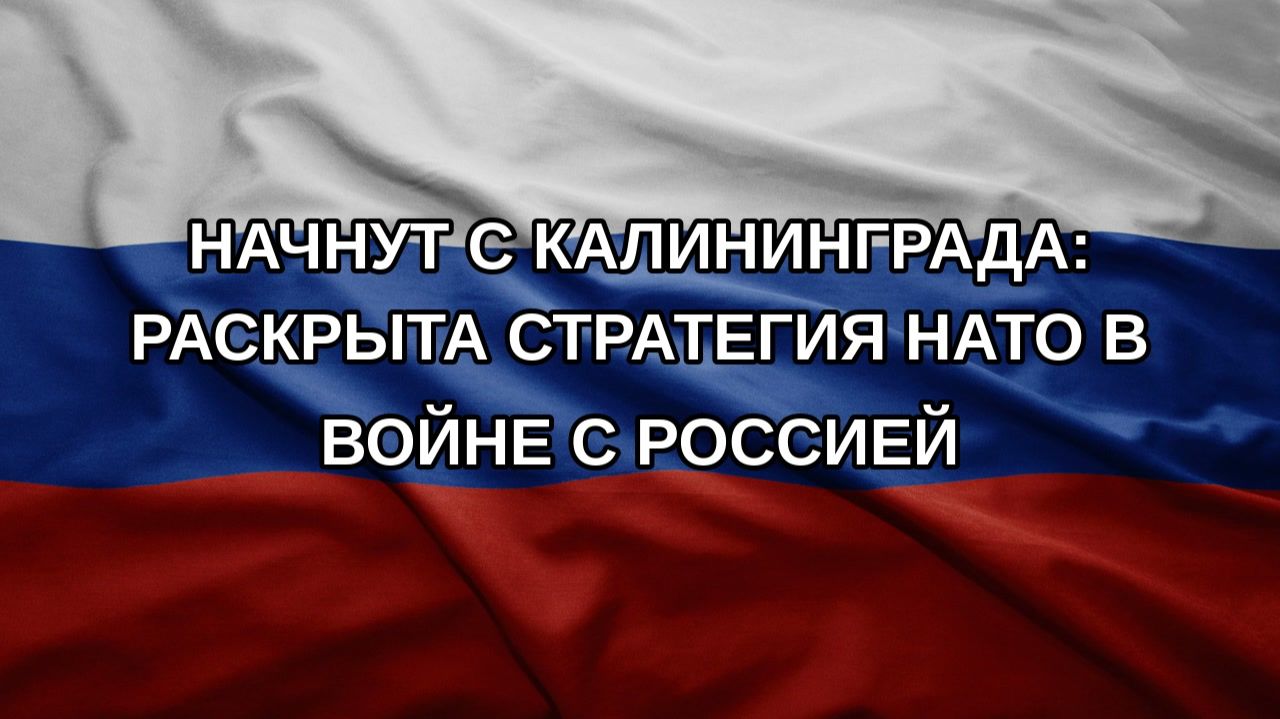 Начнут с Калининграда: раскрыта стратегия НАТО в войне с Россией