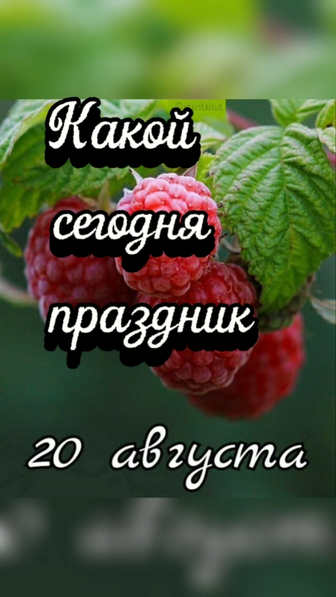 Какой сегодня 20 августа праздник 🎂