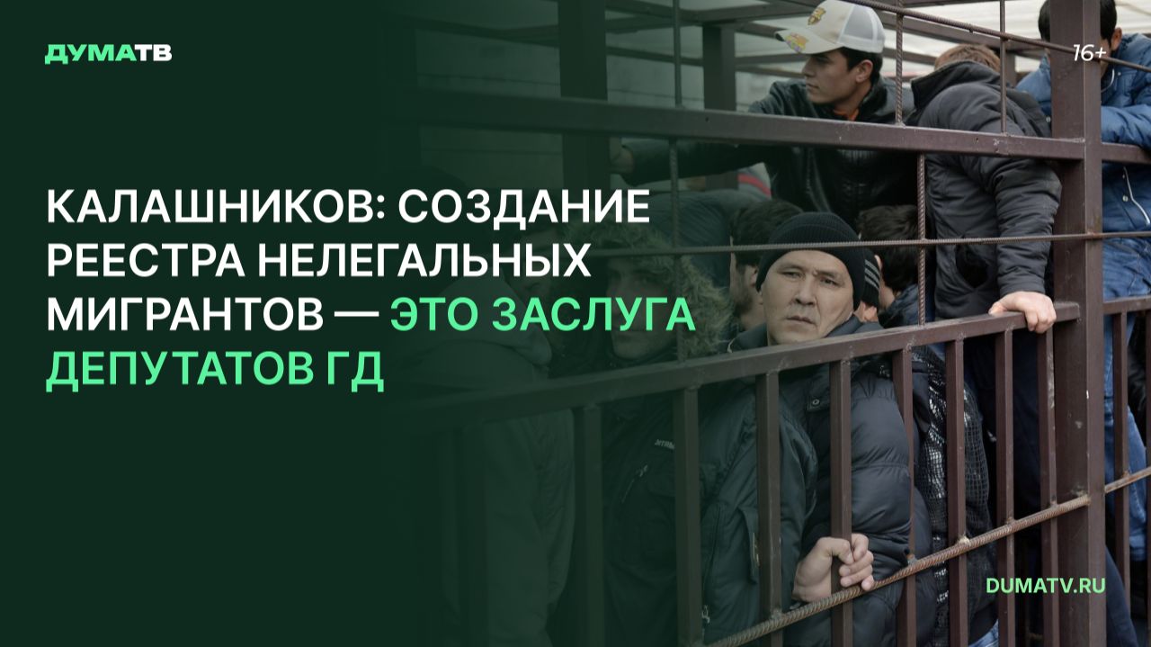 Калашников: создание реестра нелегальных мигрантов — это заслуга депутатов ГД