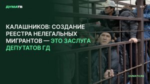 Калашников: создание реестра нелегальных мигрантов — это заслуга депутатов ГД