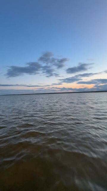 Морской волк