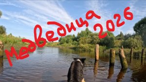 Медведица (Тверская область) 2026