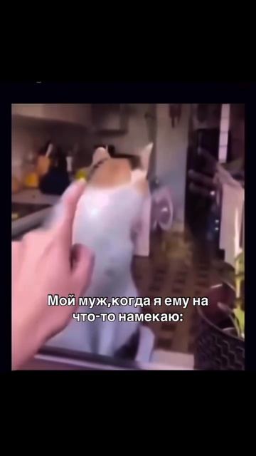 21-08-2026 Ну главное делать вид , что ни чего не происходит #юмор #прикол #бровмама #семья #ржач