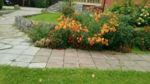 1000015142.mp4