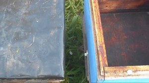 Пересаживаю пойманный рой 4