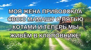Моя жена приволокла свою мамашу с пятью котами и теперь мы живём в клоповнике!
