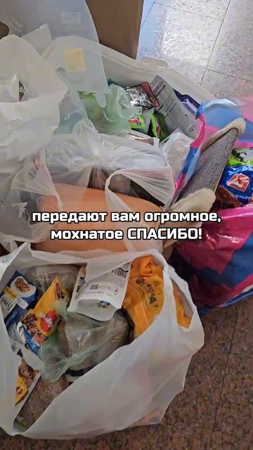 Убеждаемся, какие отзывчивые люди живут в нашем городе! | Спасибо за помощь приюту!