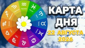 «КАРТА ДНЯ» на 22 АВГУСТА 2026 года (оракул «СОВЕТЫ МУДРОЙ СОВЫ»)!!!