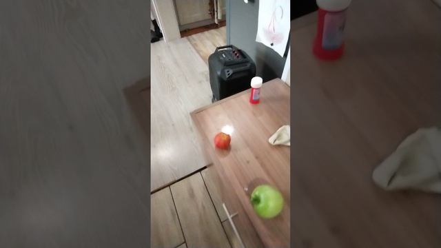 мой дом