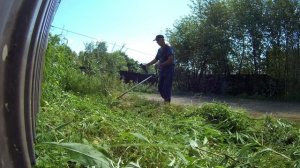 Кошу огромные заросли за забором участка