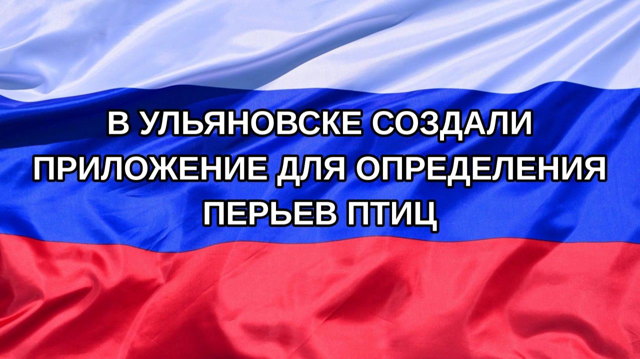 |Н. РФ| В Ульяновске создали приложение для определения перьев птиц
