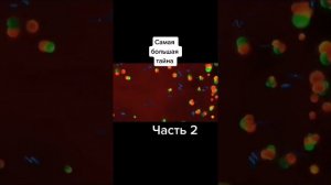 Самя большая тайна. Часть 2