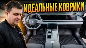 КОВРИКИ ЗА 16000 РУБЛЕЙ В VOYAH PASSION! САЛОН ПРЕОБРАЗИЛСЯ