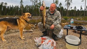 Рыбалка в Карелии. Ночёвка на диком озере полном рыбы.