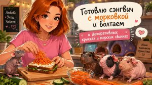 Готовим сэндвичи с морковью и общаемся о крысках и винках.