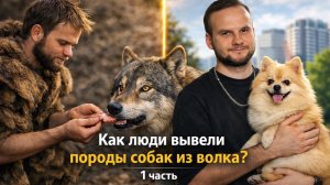 Как появлялись породы собак