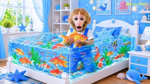 Симпатичная моно обезьянка ловит разноцветную рыбку в доме и преследуется акулами