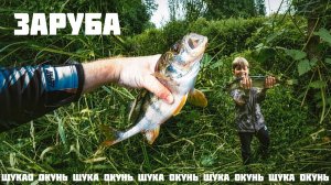 Выловили всю рыбу из реки. Рыбалка за приз. Окунь на спиннинг
