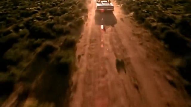 Backstreet Boys - More Than That (Official HD Video)