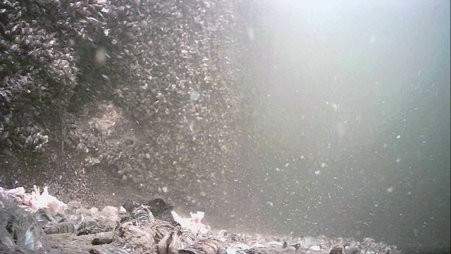1000022625.mp4Волга гл 5м.21.08.2026г.