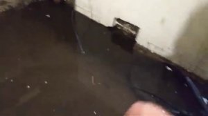 Затопило подвал - грунтовая вода
