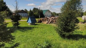 Утро 🏡☀️Заквасила 🥒🍅Приготовили овощи и запеканку с лисичками. Ищу мокрицу, чтоб лечить 🦵🙌
