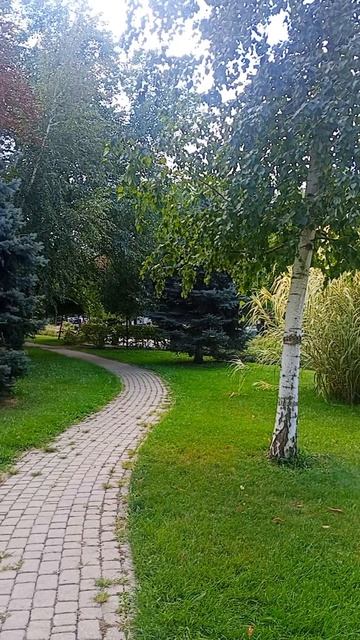 улица Красная Краснодар 🤗👀😊 #влог #природа