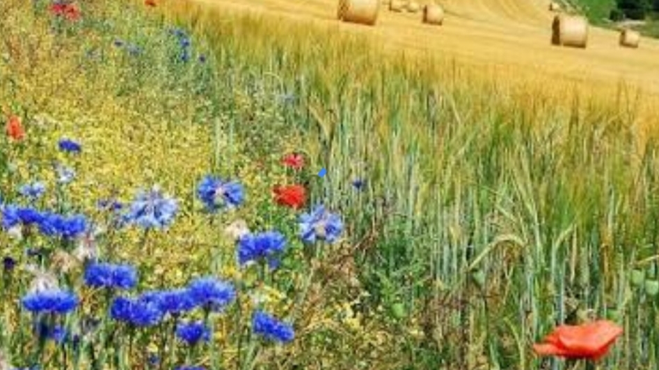 СП Добиваю недовязы 5/2026 Отчёт 30 с Мариной Стоговой
