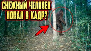 Лесная камера в Техасе сняла снежного человека?