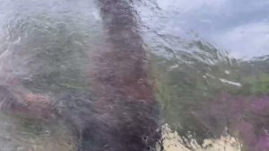Лучший мойщик окон и моя яблочная шарлотка