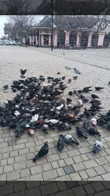А Я в интернет зайду