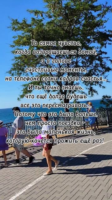 Это была лучшая поездка. Когда каждый момент хочется запомнить и пересматривать море анапа shorts