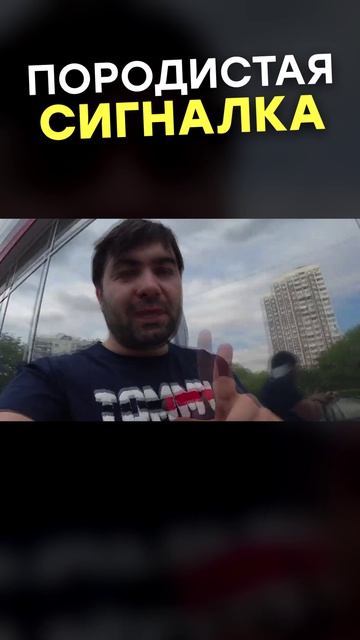 ОСТАВИЛ СОБАКУ ЗА ГЛАВНОГО