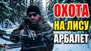 4 ДНЯ ОХОТЫ РАДИ ОДНОГО ВЫСТРЕЛА. Лиса из арбалета.