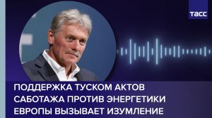 Песков: поддержка Туском актов саботажа против энергетики Европы вызывает изумление