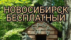 Пятничные посиделки.