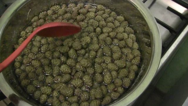 варенье из сосновых шишек часть 1