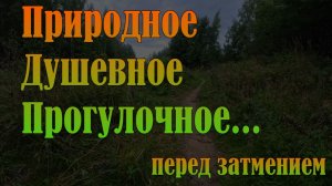 Природное Душевное Прогулочное Перед затмением