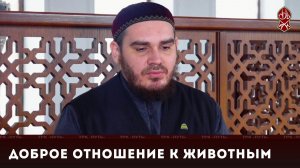 Доброе отношение к животным. На Русском языке | «Познай свою религию». Саид-Эми Мусаев
