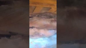 рисование в тетрадях