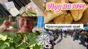 Купили дом. Живность на работе. Гости. Сделаем роллы. Играем в лото.