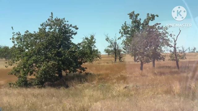 Дорога на море! Волгоград - Сочи! Серия 2! 16.08.26