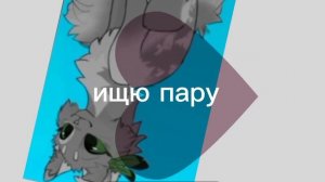 ищж пару М. пола. кто им будет?
