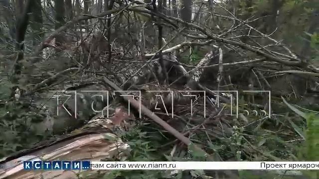 Выпуск новостей программы 