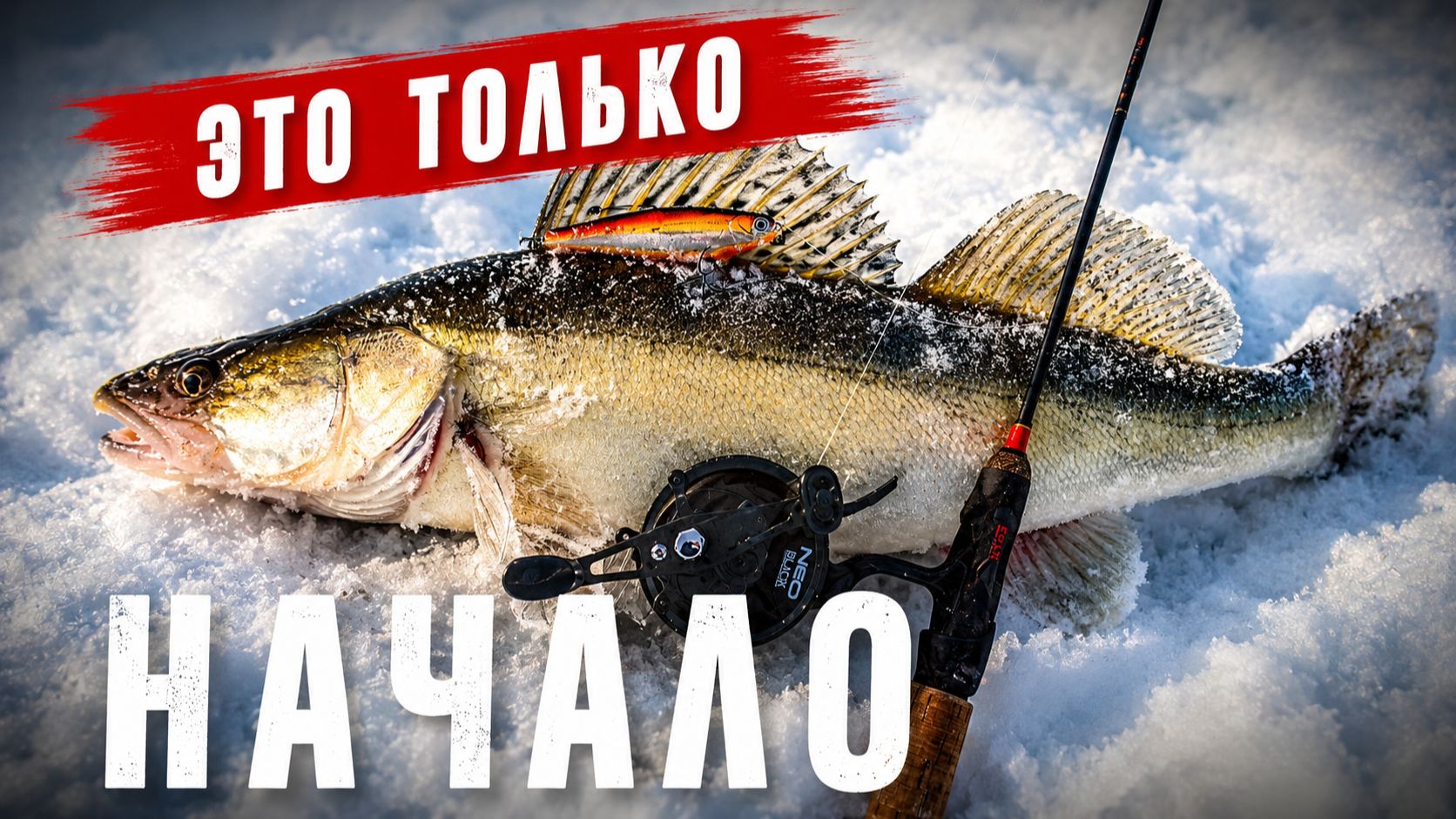 Это только начало.